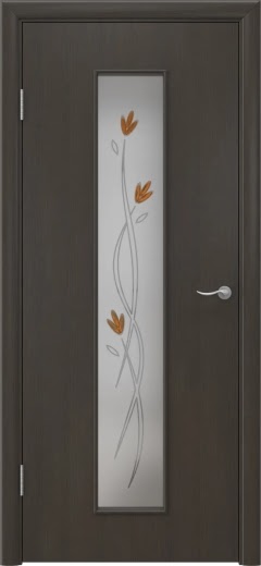 Межкомнатная дверь 22Х (ламинированная «венге», матовое стекло с узором)