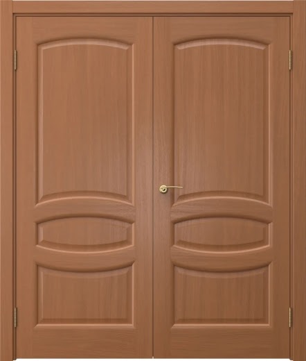 Распашная двустворчатая дверь FK030 (шпон анегри, глухая)