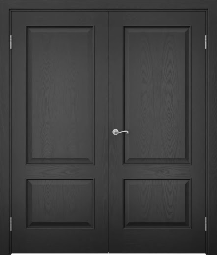 Распашная двустворчатая дверь SK011 (шпон ясень черный, глухая)