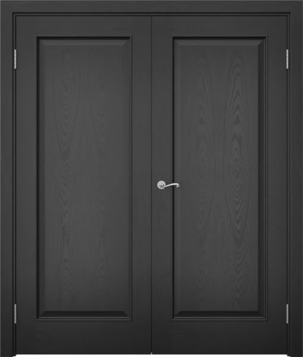 Распашная двустворчатая дверь SK005 (шпон ясень черный, глухая)