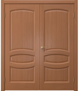 Распашная двустворчатая дверь FK030 (шпон анегри, глухая) — 15133